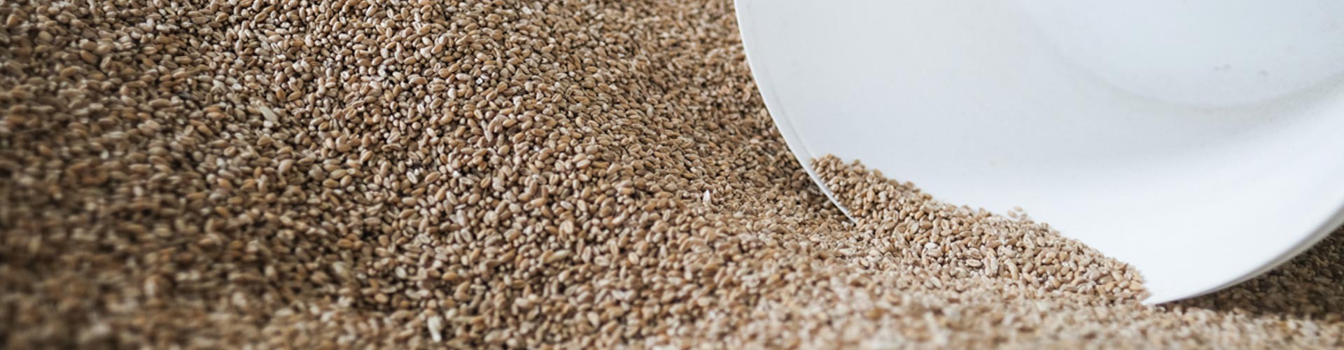 Céréales et Paradis